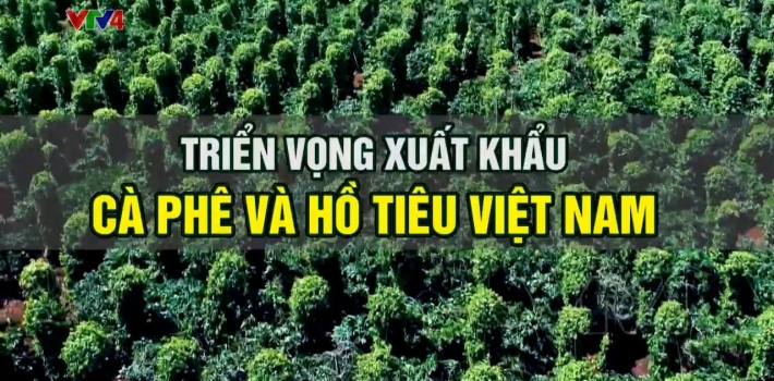 Xuất khẩu cà phê và hồ tiêu Việt Nam tăng trưởng ấn tượng | VTV4