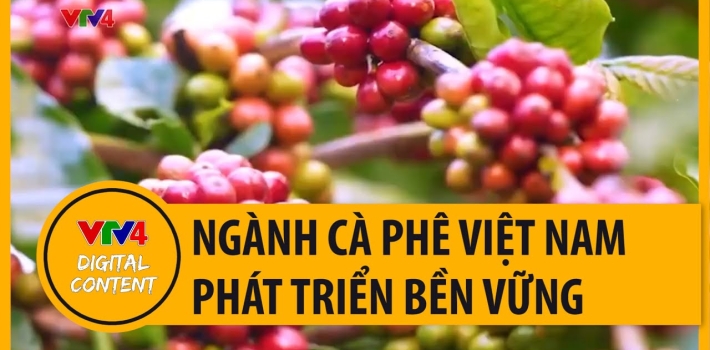 Ngành cà phê Việt Nam hướng tới phát triển bền vững | VTV4
